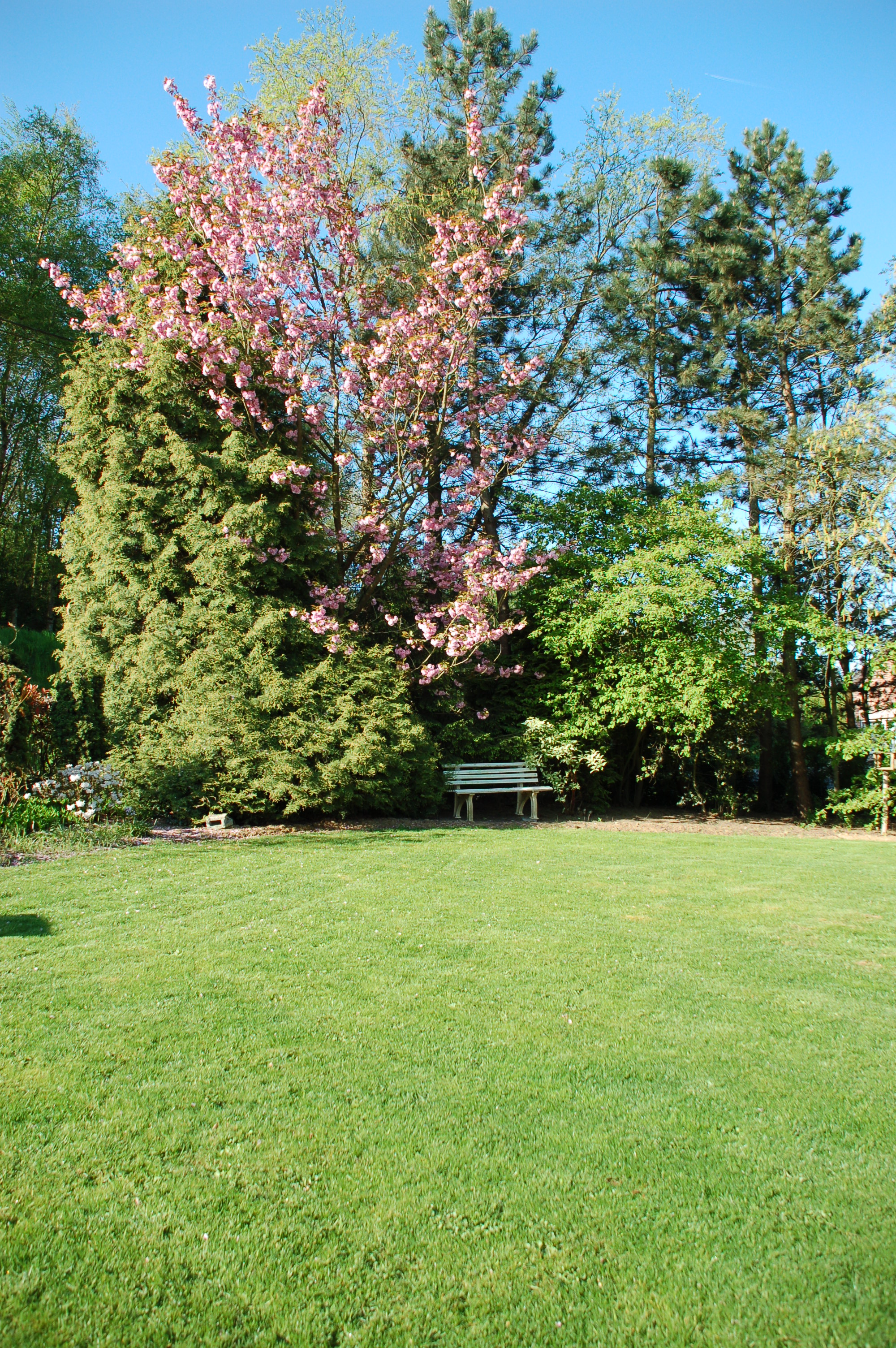 image: tuinonderhoud